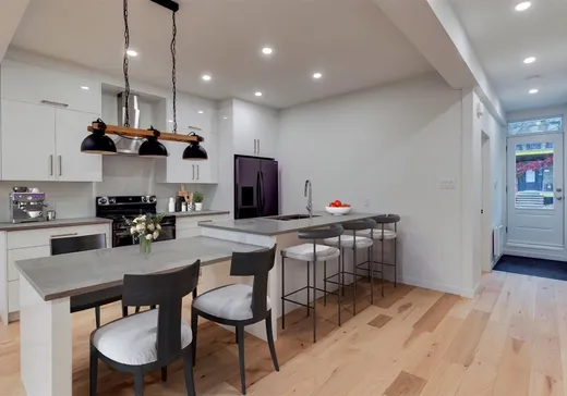 Triplex à vendre - 4849-4853 Rue De La Roche, Montréal (Rosemont–La Petite-Patrie), H1J 3J8