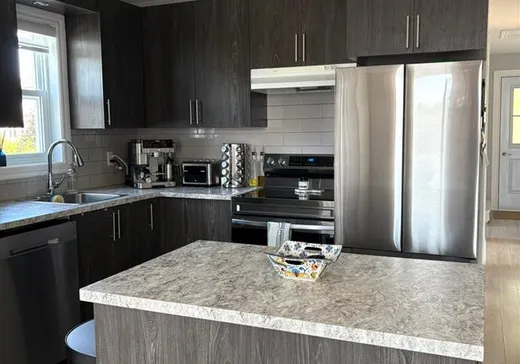 Duplex à vendre - 38-40 Rue Antoine-Adhémar, Trois-Rivières, G8T 4P8