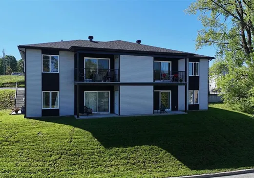 4-Plex for Sale - 24 Rue Doran-Duke-Doucet, Windsor, J1S 0J2