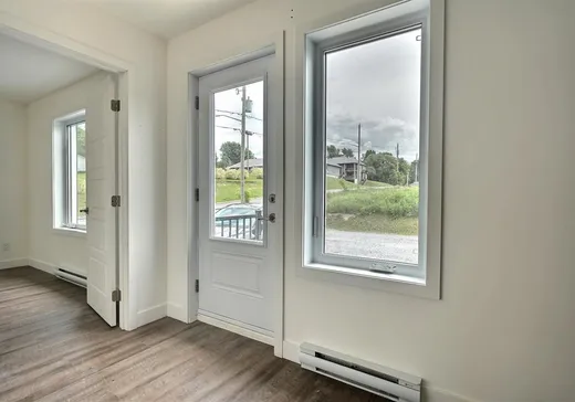 4-Plex for Sale - 24 Rue Doran-Duke-Doucet, Windsor, J1S 0J2