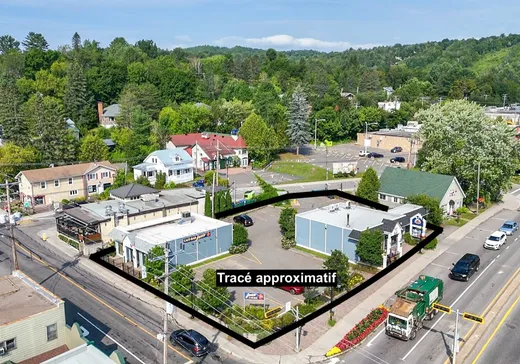 Triplex à vendre - 19 Rue Morin, Sainte-Adèle, J8B 2P5