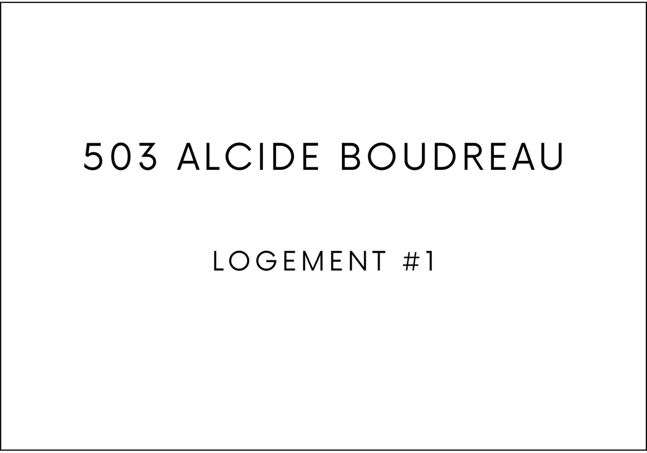 503 Rue Alcide-Boudreau — photo 3