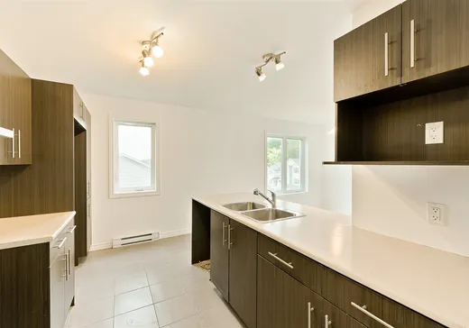 4-Plex à vendre - 213 Rue Darche, Sherbrooke, J1H 6L3