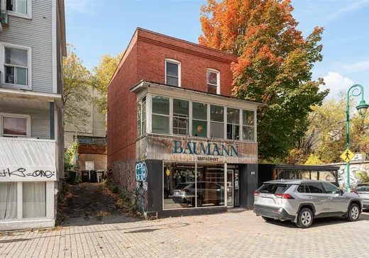 Duplex for Sale - 141-143 Rue Wellington S., Sherbrooke, J1H 5C9