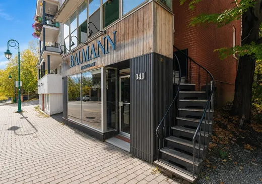 Duplex for Sale - 141-143 Rue Wellington S., Sherbrooke, J1H 5C9