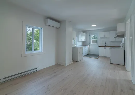 Duplex à vendre - 223-223A Rue Georges, Lachute, J8H 1Z9