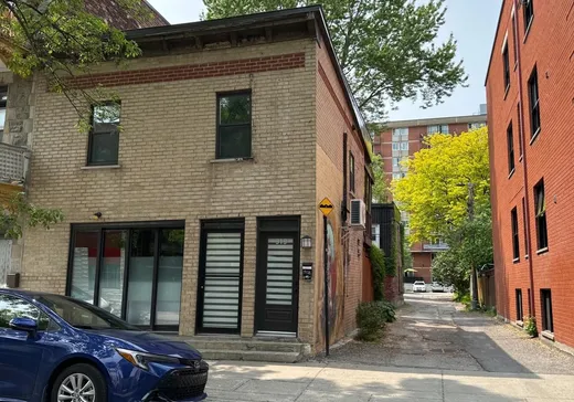 Duplex for sale - 917 Av. Duluth E. (917Z-919Z), Montreal (Plateau-Mont-Royal), H2L1B7