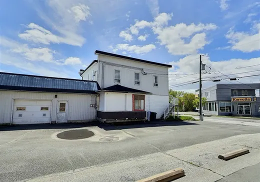 Duplex à vendre - 290-294 Rue Laurier, Thetford Mines, G0N 1E0