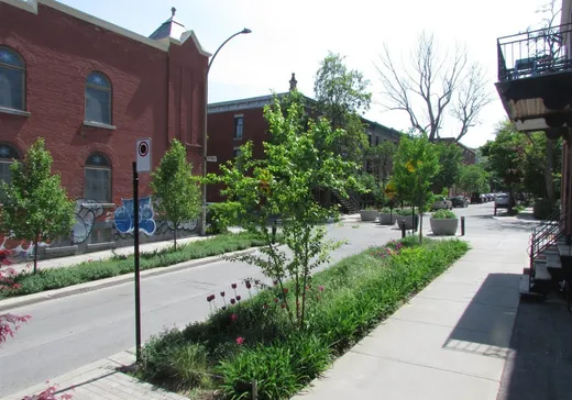 Duplex à vendre - 25-27 Rue Bagg, Montréal (Plateau-Mont-Royal), H2W 1J9