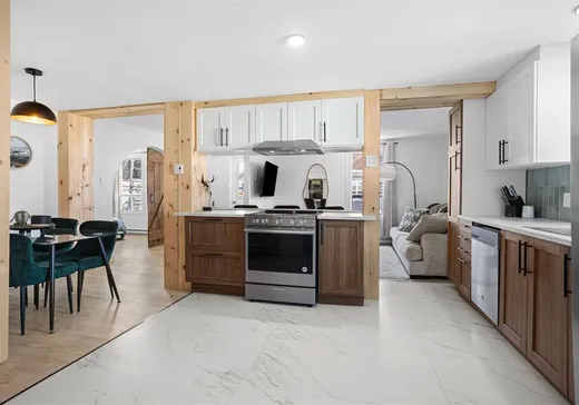 Duplex à vendre - 18-20 Rue St-Venant, Sainte-Agathe-des-Monts, J8C 2P1
