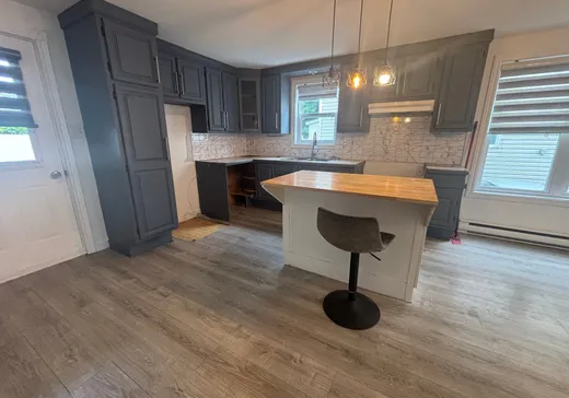 Duplex à vendre - 57-59 14e Avenue, Drummondville, J2B 3B7