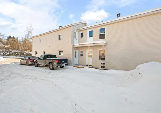 5-Plex à vendre - 5-17 Rue Allen, Windsor, J1S 1C1