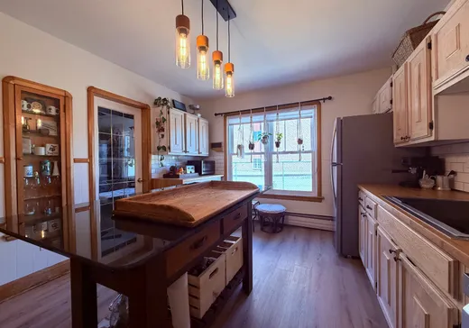 Triplex à vendre - 1307-1311 Rue St-André, Sherbrooke, J1H 2S1