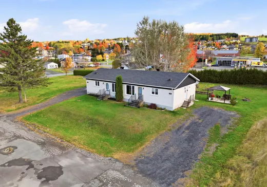 Duplex à vendre - 1041-1045 Rue de la Courbe-Voie, Saint-Joseph-de-Beauce, G0S 2V0
