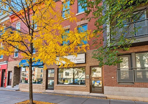 Triplex à vendre - 4852-4856 Rue St-Denis, Montréal (Plateau-Mont-Royal), H2J 2L6