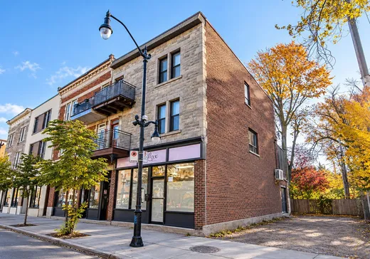 Triplex à vendre - 4224-4226 Rue Ste-Catherine E., Montréal (Centreville), H1V1X3