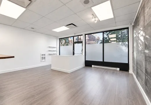 Triplex à vendre - 4224-4226 Rue Ste-Catherine E., Montréal (Centreville), H1V 1X3
