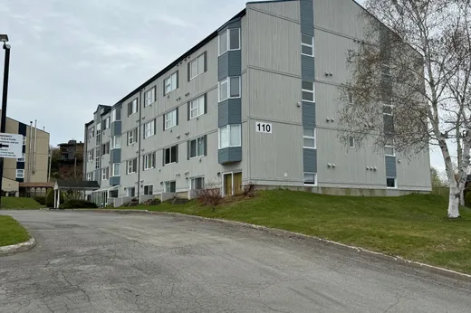 Condo for sale - 110 Rue de la Tourbe, St-Ferreol-les-Neiges, G0A 3R0