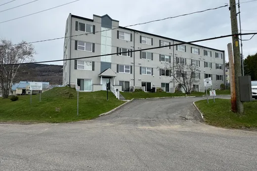 Condo for sale - 110 Rue de la Tourbe, St-Ferreol-les-Neiges, G0A 3R0