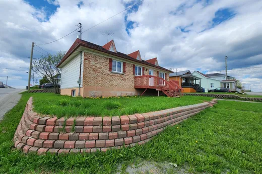 Maison à vendre - 11 Rue Principale E., St-Fabien-De-Panet, G0R 2J0