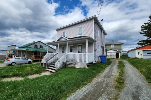 Two or more stories for sale - 191 Rue Boutin, St-Fabien-De-Panet, G0R2J0