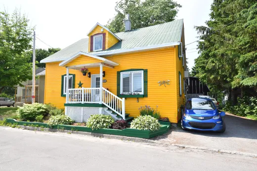 Two or more stories for sale - 65 Rue Roy, Saint-Pierre-de-Lamy, G0L4K0