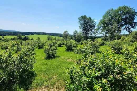 Fermette à vendre - 8901 Rg St-Philippe, Chesterville, G0P1J0