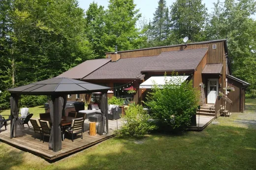 Maison à vendre - 10 Ch. des Immortelles, Mansonville, J0E 1X0
