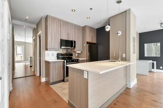 Condo à vendre - 201 Rue Charlotte 306, Ville-Marie (Montréal), H2X 0B1