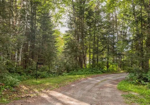 Maison à vendre - 146 Ch. de Val-des-Bois, Val-d'Or, J9P 0C1