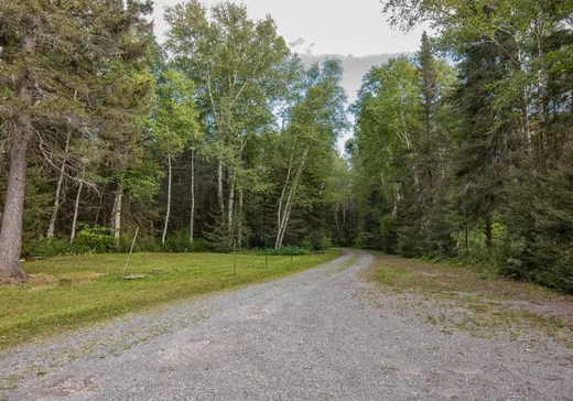 Maison à vendre - 146 Ch. de Val-des-Bois, Val-d'Or, J9P 0C1