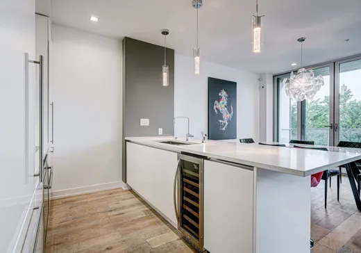 Condo à vendre - 2365 Rue St-Patrick 303, Pointe-St-Charles (Île de Montréal), H3K 1B3