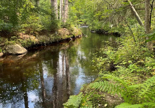 Maison à vendre - 40 Côte de l'Eau-Vive, Lac Superieur, J0T 1J0