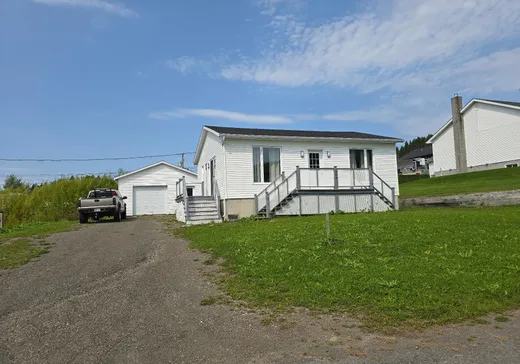 Maison à étages à vendre - 369 Rue du Docteur-Bergeron, Causapscal, G0J1J0