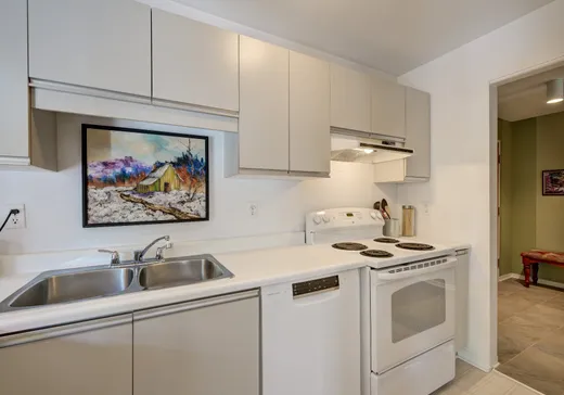 Condo à vendre - 3610 Rue Edmond-Hamelin, Rosemont, H1X 3K2