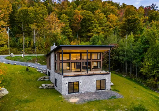 Maison à vendre - 16 Ch. des Montagnards, Mansonville, J0E 1X0