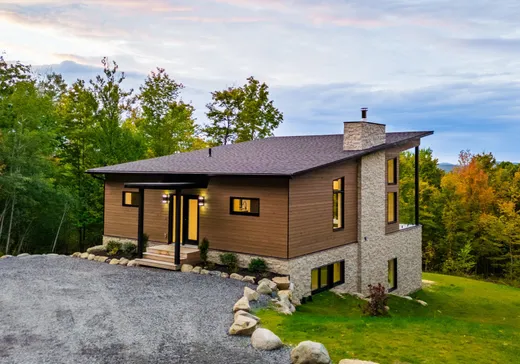 Maison à vendre - 16 Ch. des Montagnards, Mansonville, J0E 1X0