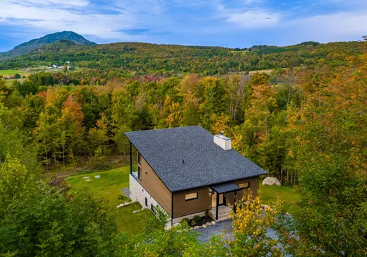 Maison à vendre - 16 Ch. des Montagnards, Mansonville, J0E 1X0