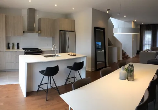 Maison à vendre - 1019 Rue Jacqueline-Sicotte, LaSalle, H8N 0G3