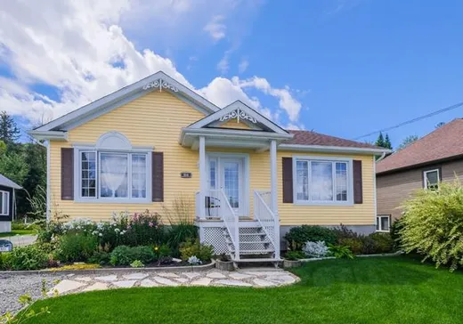 Maison à vendre - 80 Rue Rivard, St-Donat-De-Montcalm, J0T 2C0