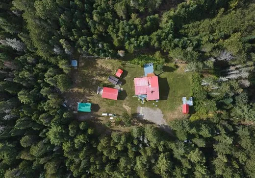 Maison à vendre - 99 Ch. du Lac-Beauchamp, St-Donat-De-Montcalm, J0T 2C0