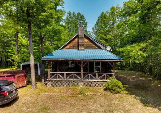 Un étage et demi à vendre - 411 Ch. Beaudoin, Otter Lake, J0X2P0