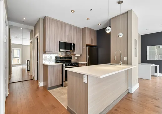 Condo à vendre - 201 Rue Charlotte, Ville-Marie (Montréal), H2X 0B1