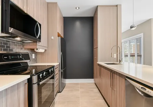 Condo à vendre - 201 Rue Charlotte, Ville-Marie (Montréal), H2X 0B1