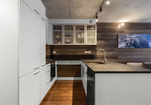 Condo à vendre - 1000 Rue Ottawa, Montreal-Downtown, H3C 0P3