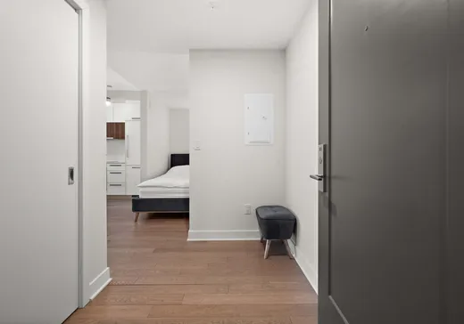 Condo à vendre - 628 Rue St-Jacques, Montreal-Downtown, H3C 0Z1