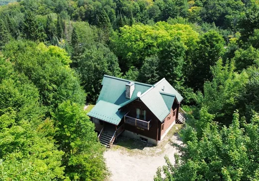 Chalet à vendre - 383 Ch. Nephtalie-Maher, Mont-Tremblant, J0T1H0