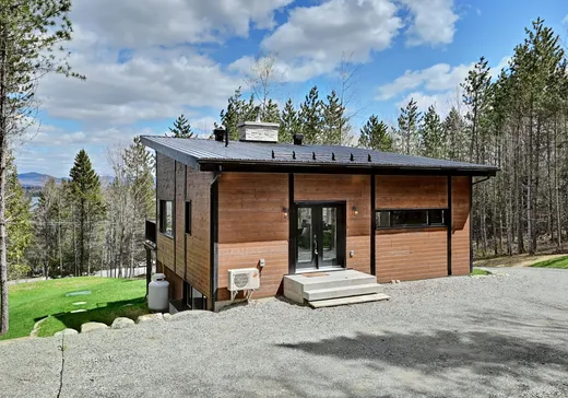 Maison à vendre - 691 Ch. de la Rivière-Bergeron, Lac-Mégantic, G0Y 1H0