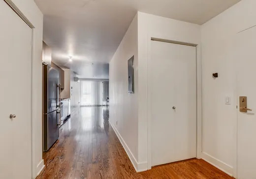 Condo à vendre - 9615 Av. Papineau, Ahuntsic/Cartierville, H2B 1Z6