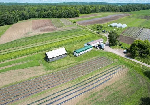 Fermette à vendre - 42 Ch. Stewart, Shawville, J0X 2Y0